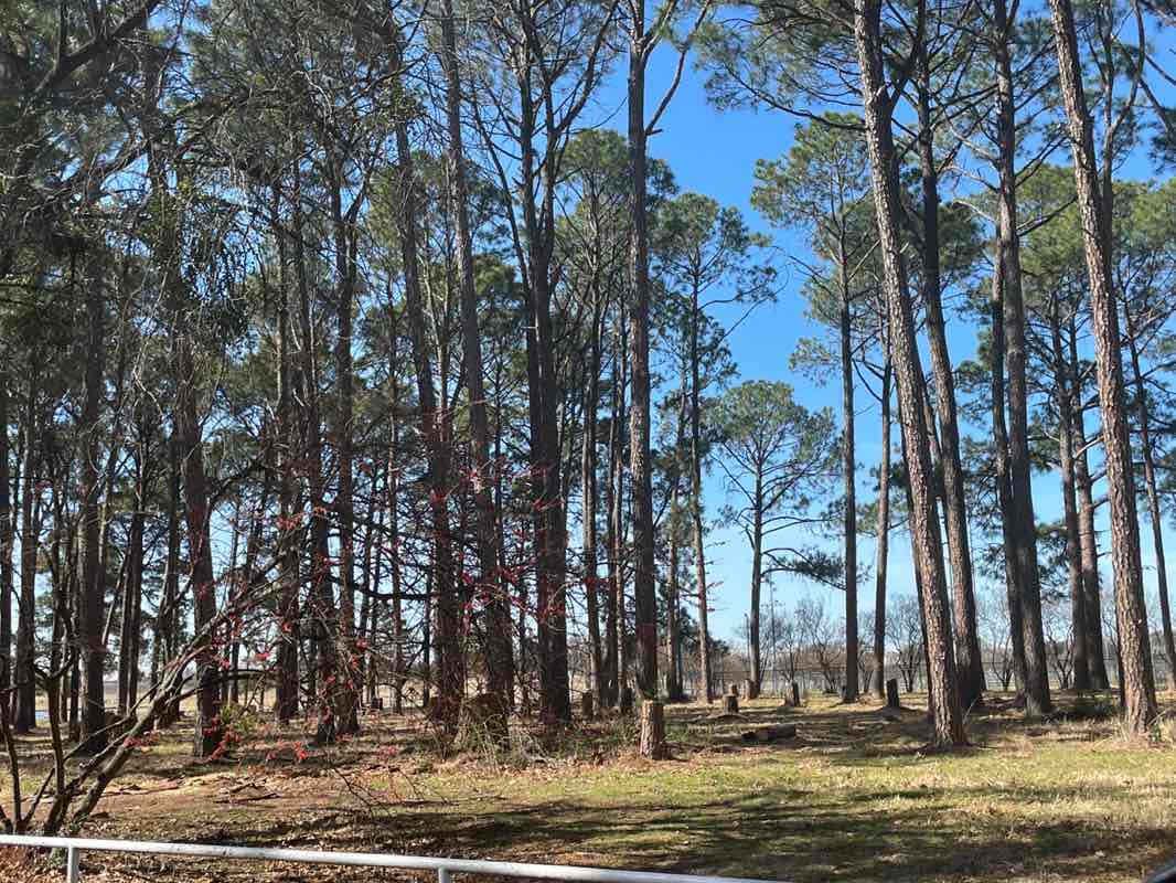 walking near me in Lake Park in winter