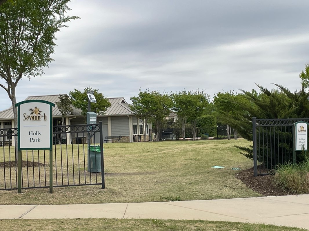 walking near me in Holly Park in spring