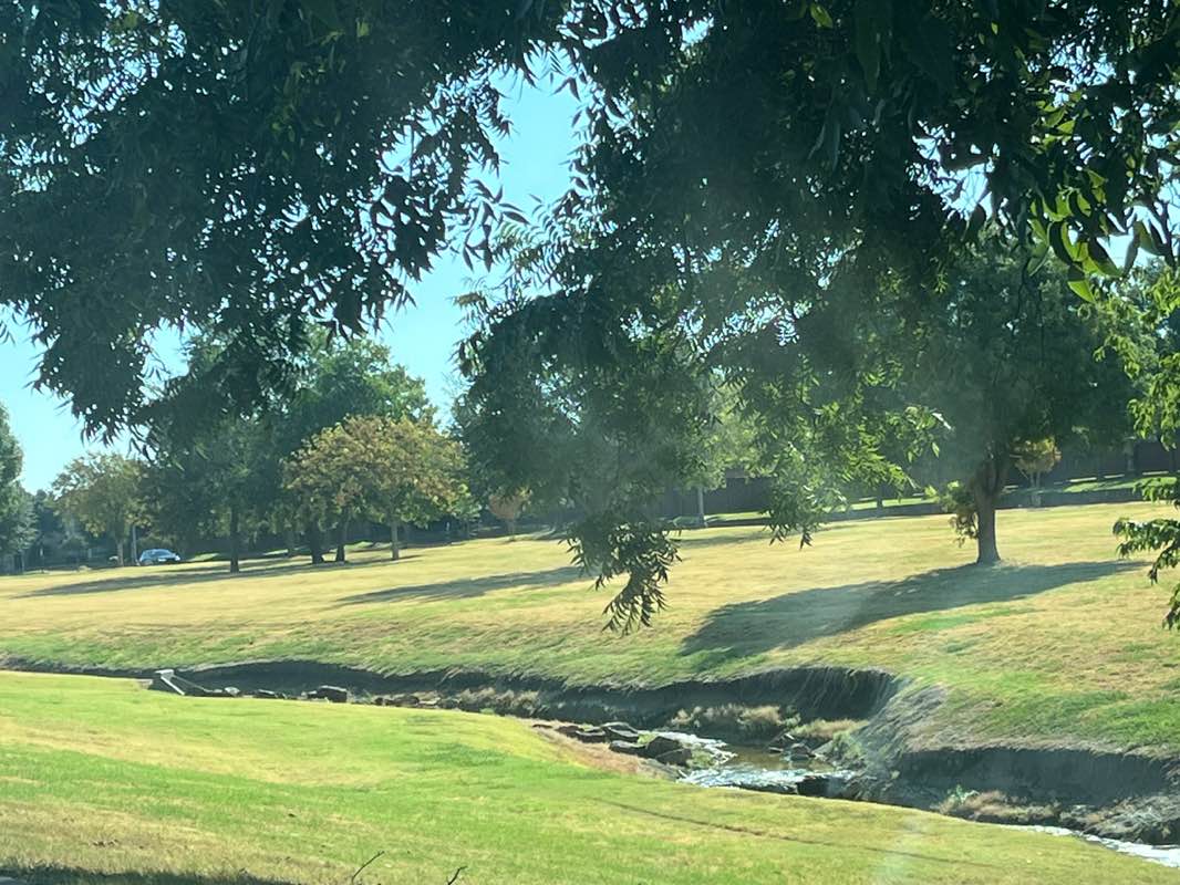 walking near me in Pecan Grove Park in autumn