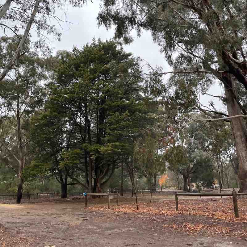 strongskinnyandy post 1