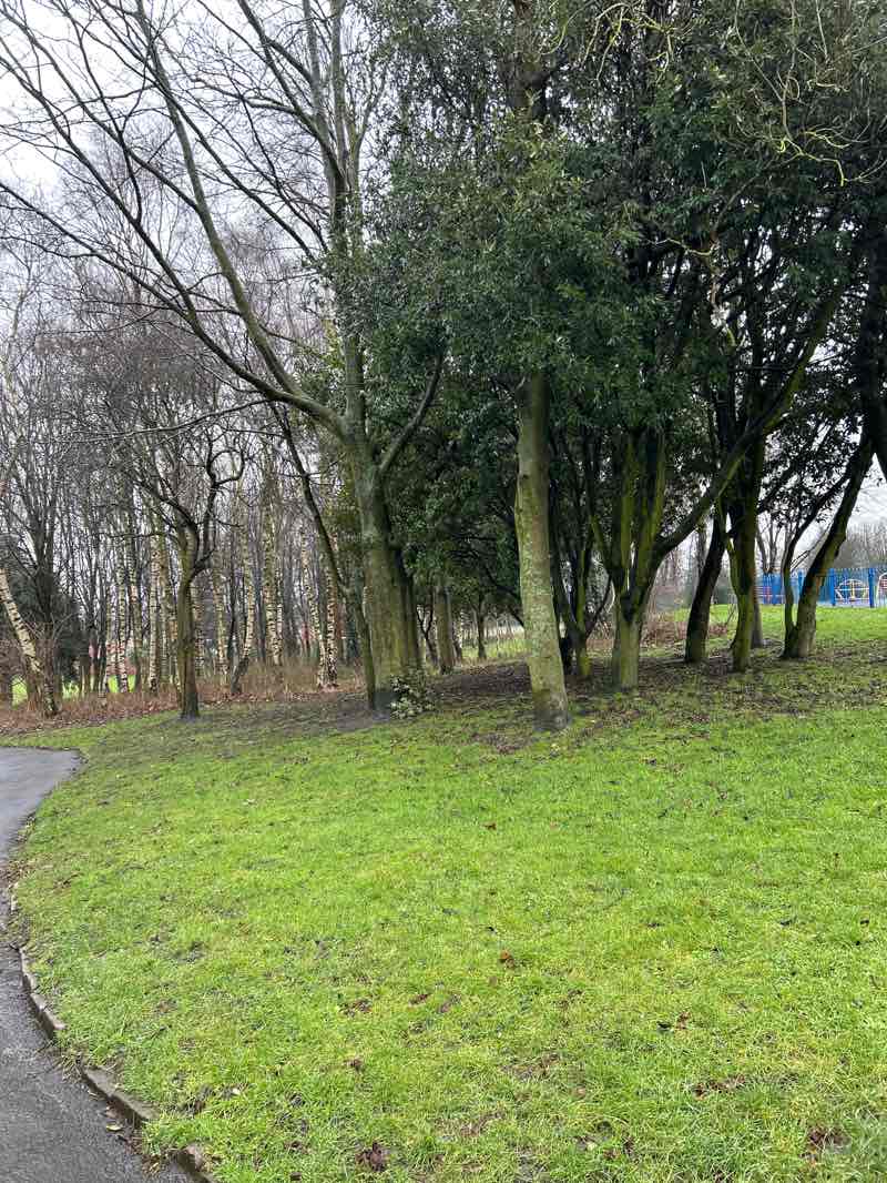 walking near me in Hill Top Park in winter