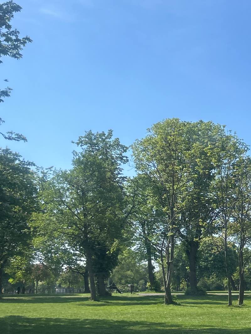 walking near me in Small Heath Park in spring