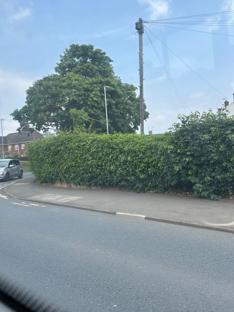 walking near me in Sanders Park in summer