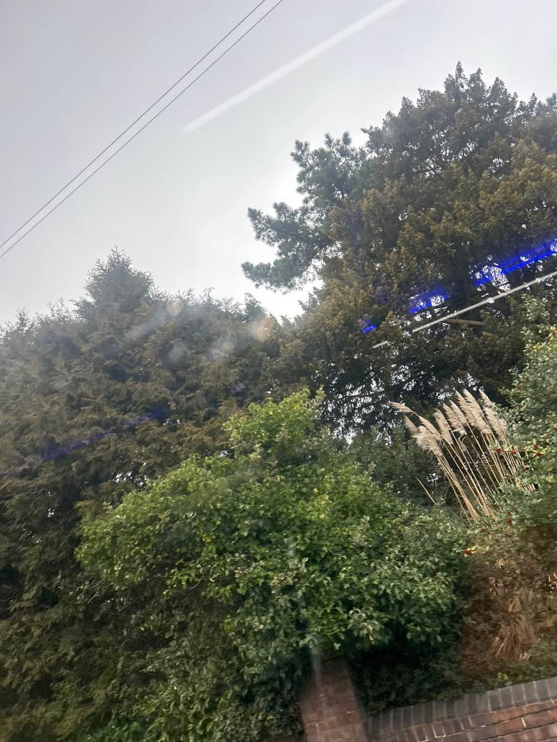 walking near me in The Bernard Oakley Memorial Gardens in spring