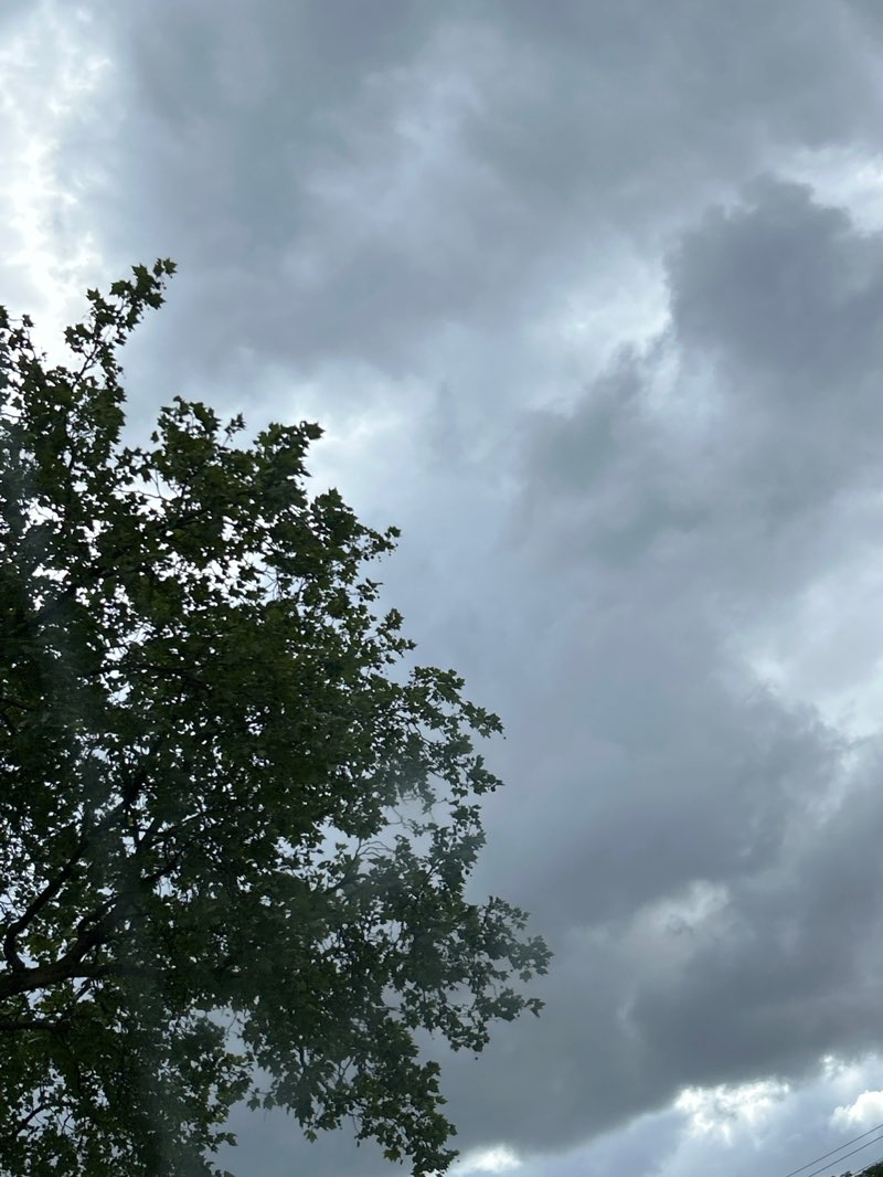 walking near me in Perry Park in spring