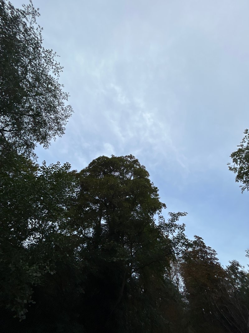 walking near me in Manor Farm Park in autumn