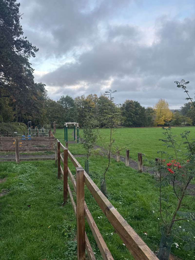 walking near me in Streatley Recreation Ground in autumn