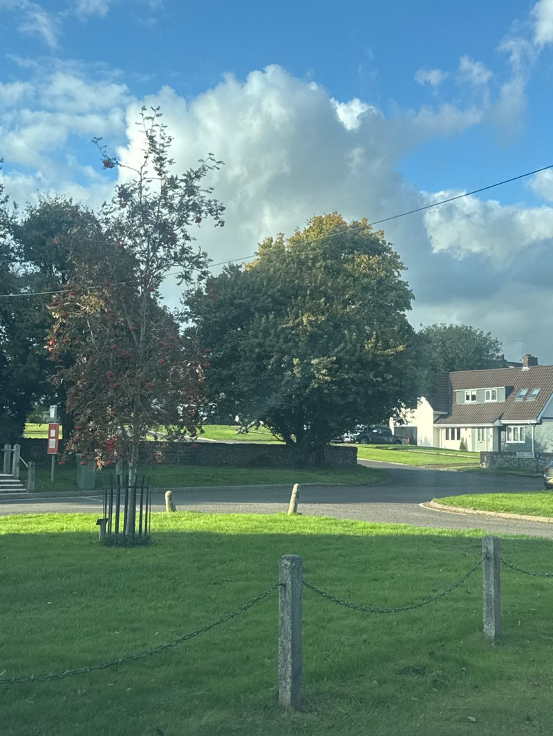 walking near me in The Green in autumn