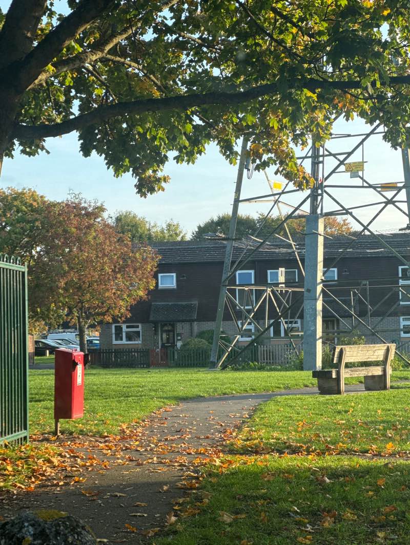 walking near me in Phoenix Park in autumn