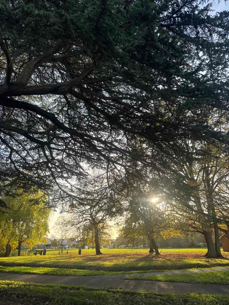 walking near me in Bisley Green in autumn
