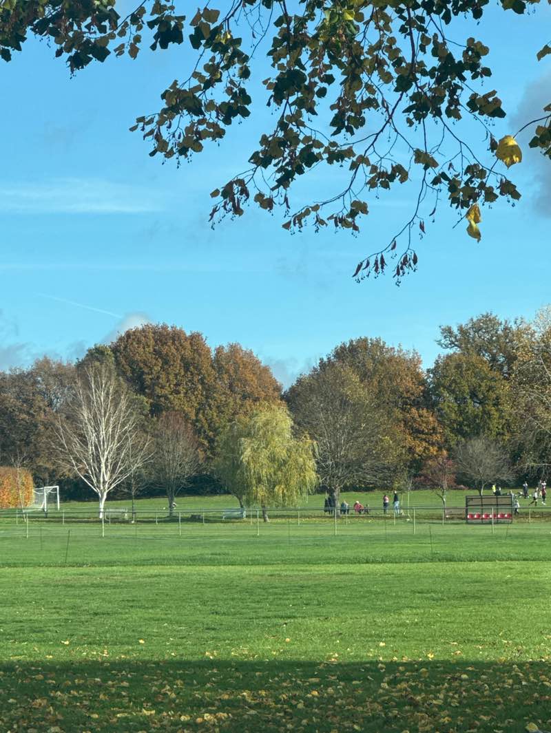walking near me in Finchampstead Memorial Grounds in autumn