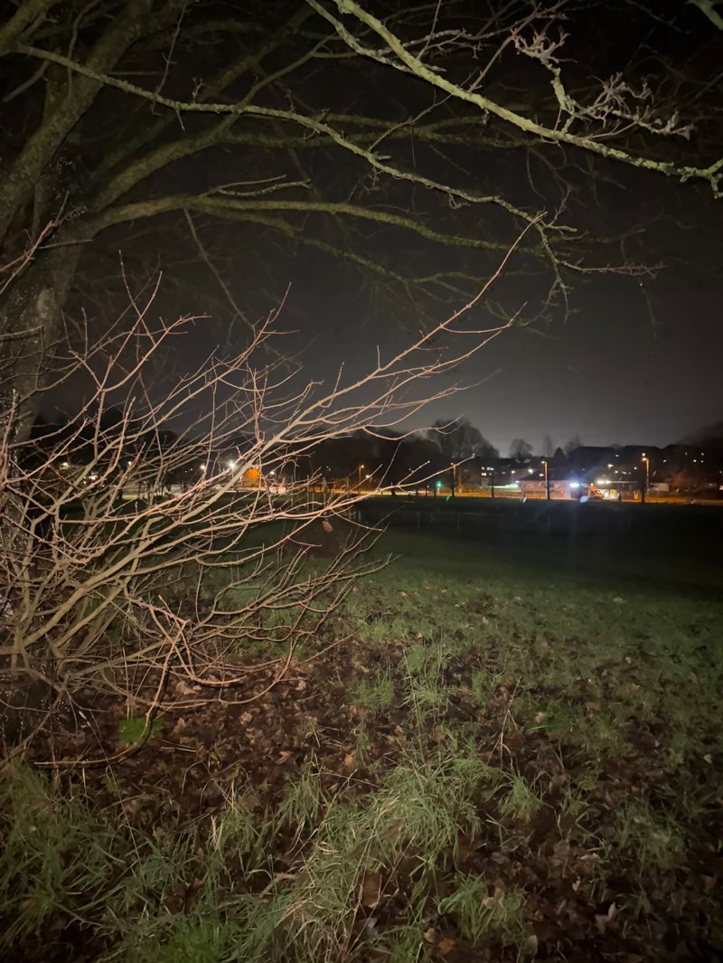 walking near me in Roman WayPark in winter