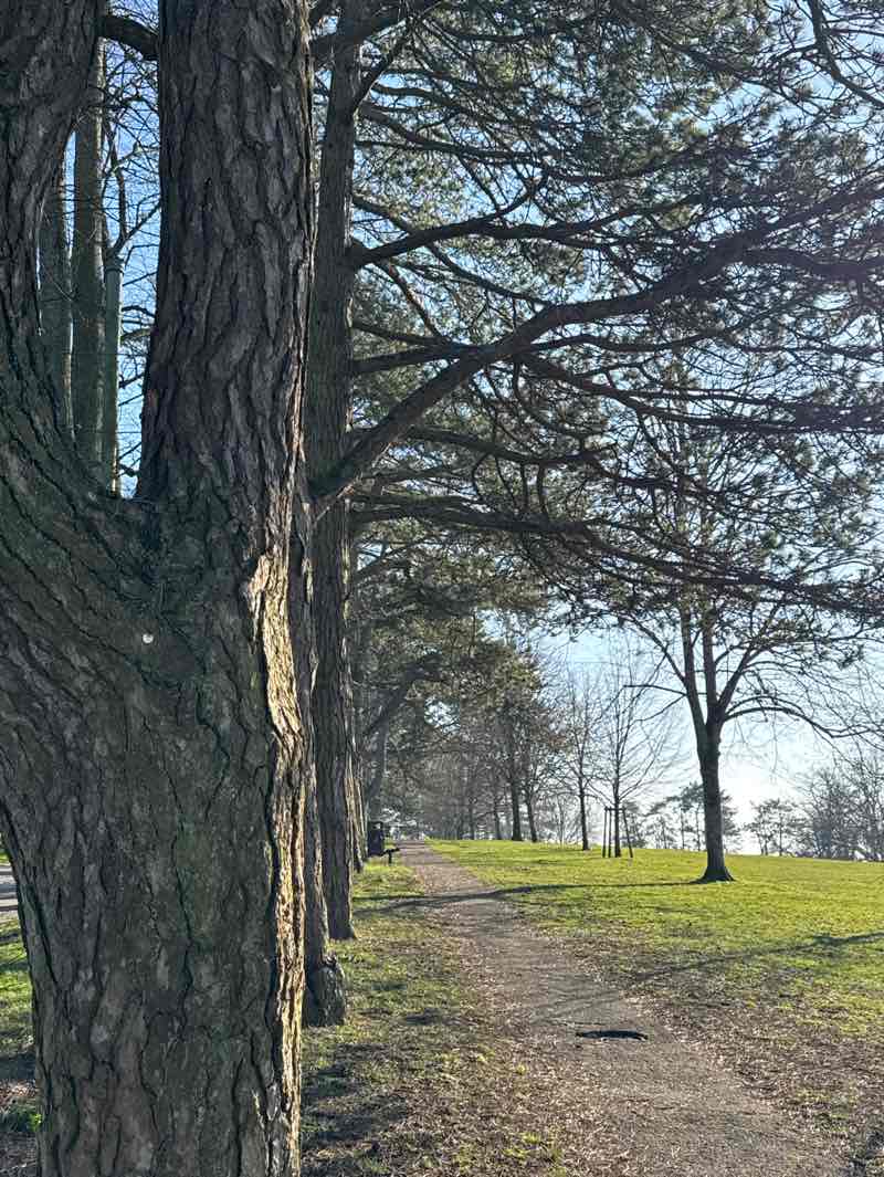 walking near me in St Giles's Hill in spring