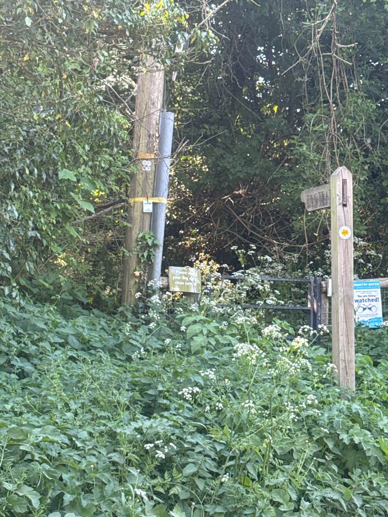 walking near me in Greywell Hill Park in spring