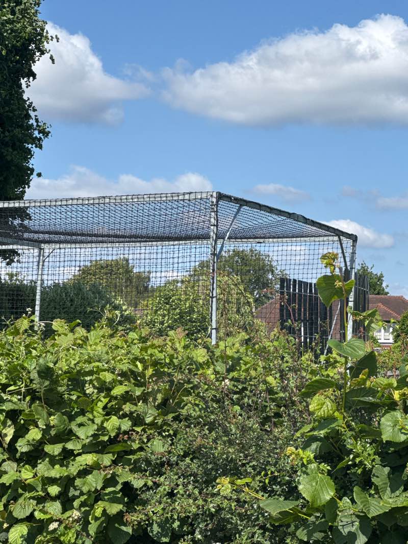 walking near me in Rowledge Cricket Club in summer