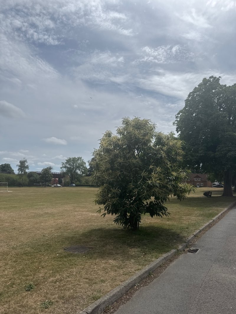 walking near me in The Butts in summer