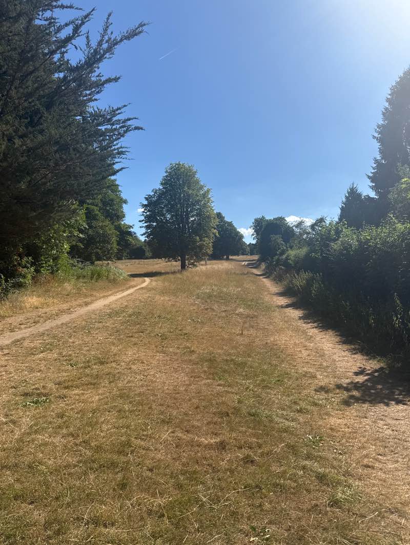 walking near me in Arthur Newbery Park in summer