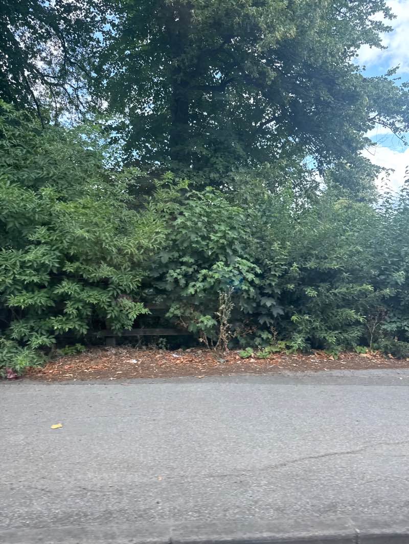 walking near me in Prospect Park in autumn