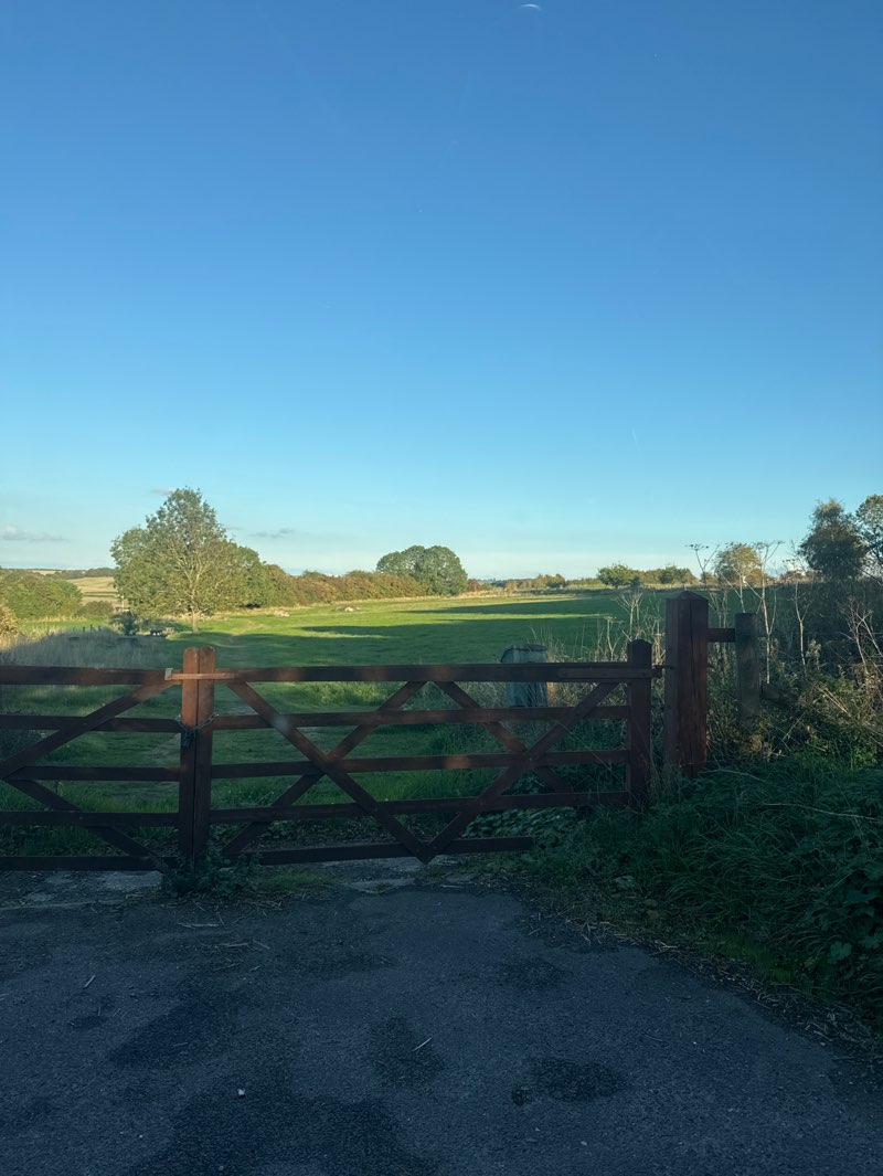 walking near me in East Ilsley (Millennium Green) in autumn