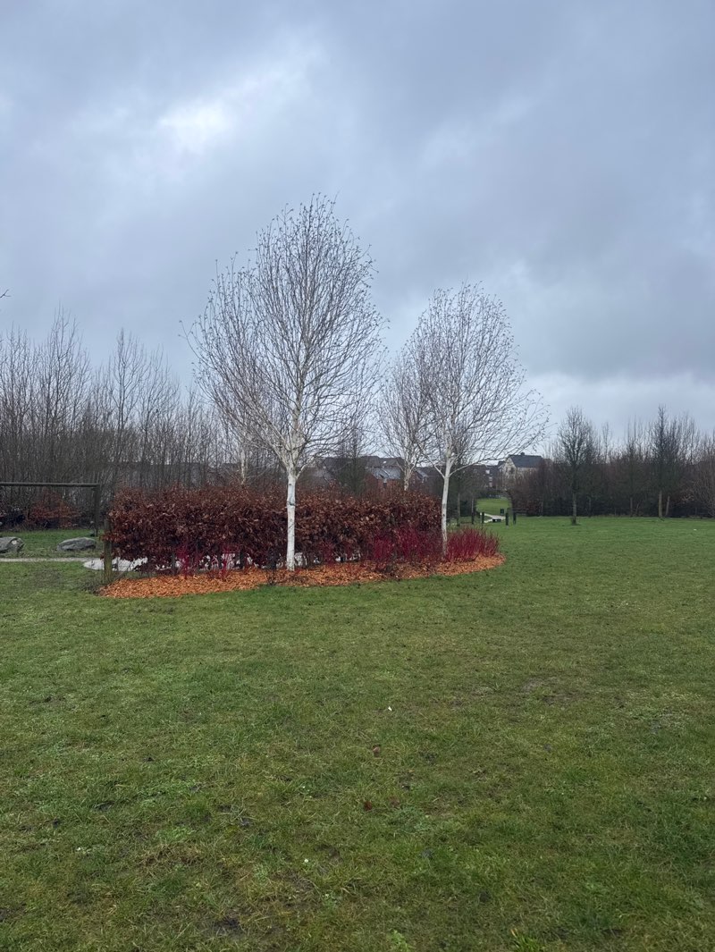 walking near me in Poppy Park in winter