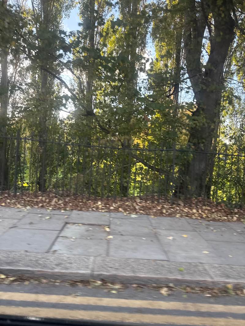 walking near me in Hills Meadow in autumn