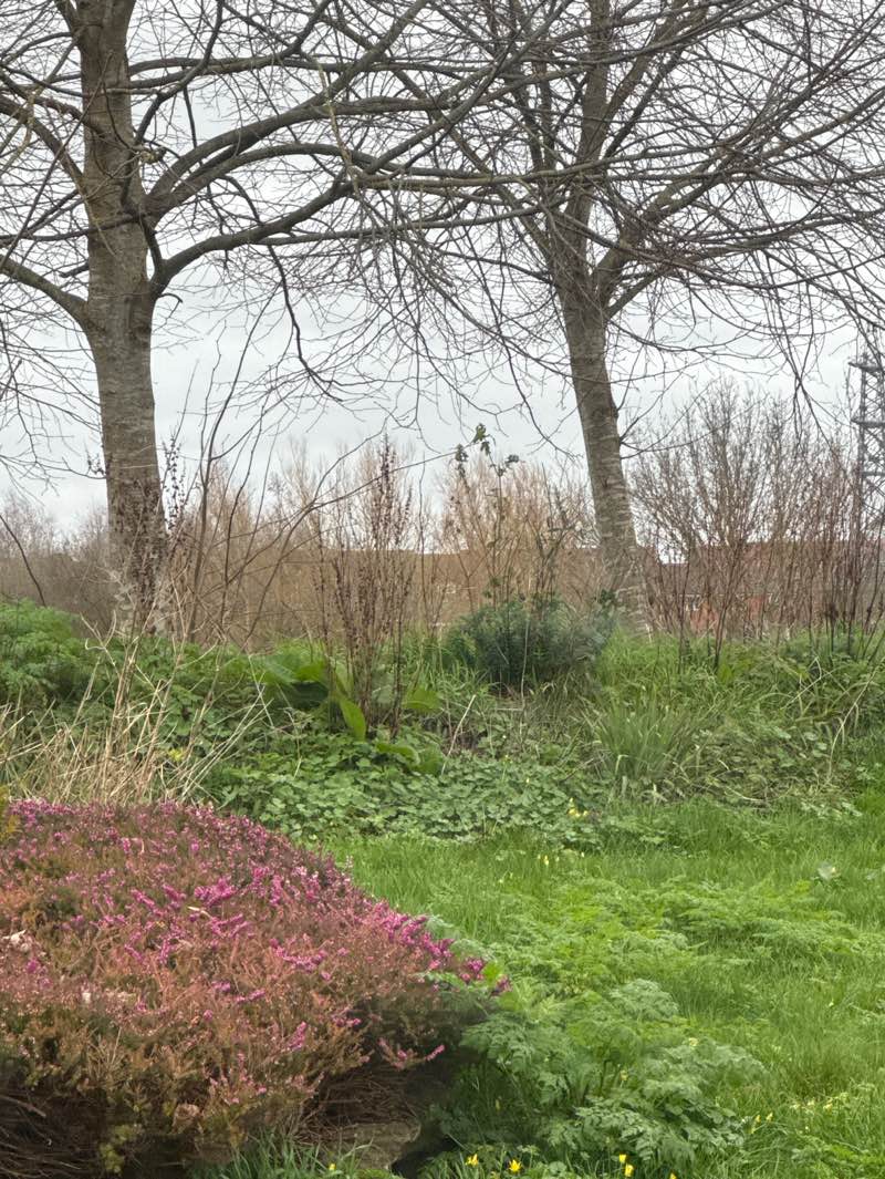 walking near me in Roman WayPark in winter