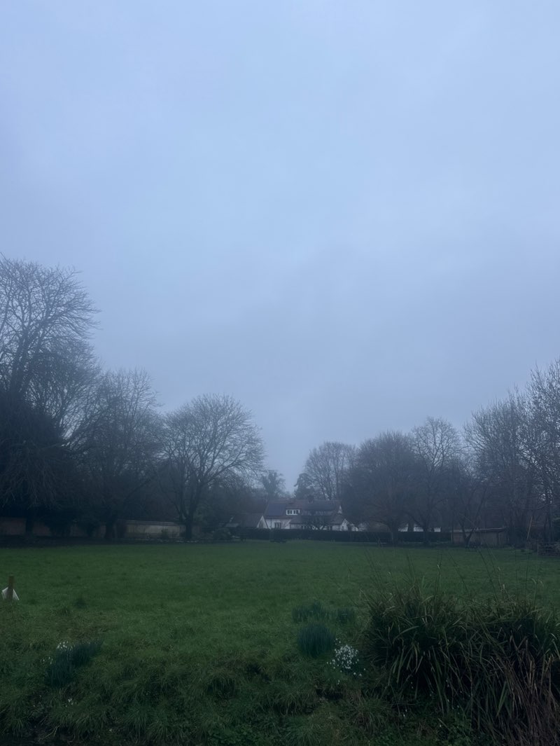 walking near me in Thruxton Village Green in winter
