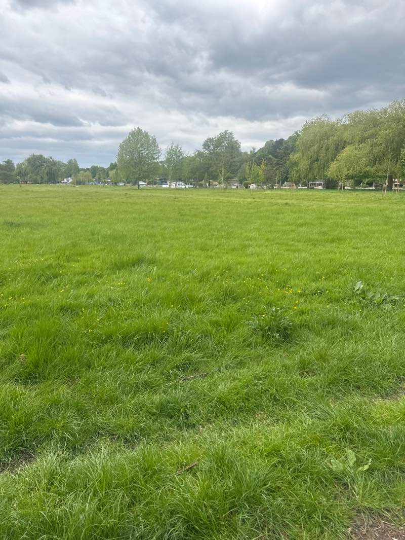 walking near me in Marsh Meadows in spring