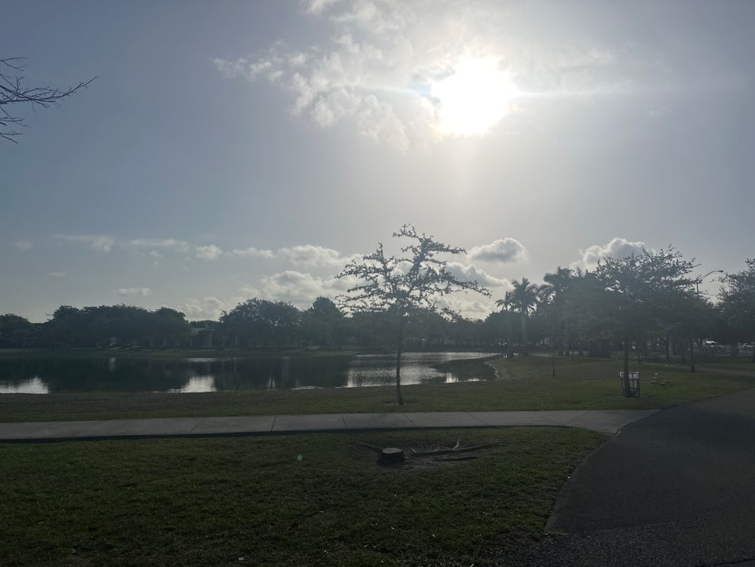 walking near me in The Women's Park in spring