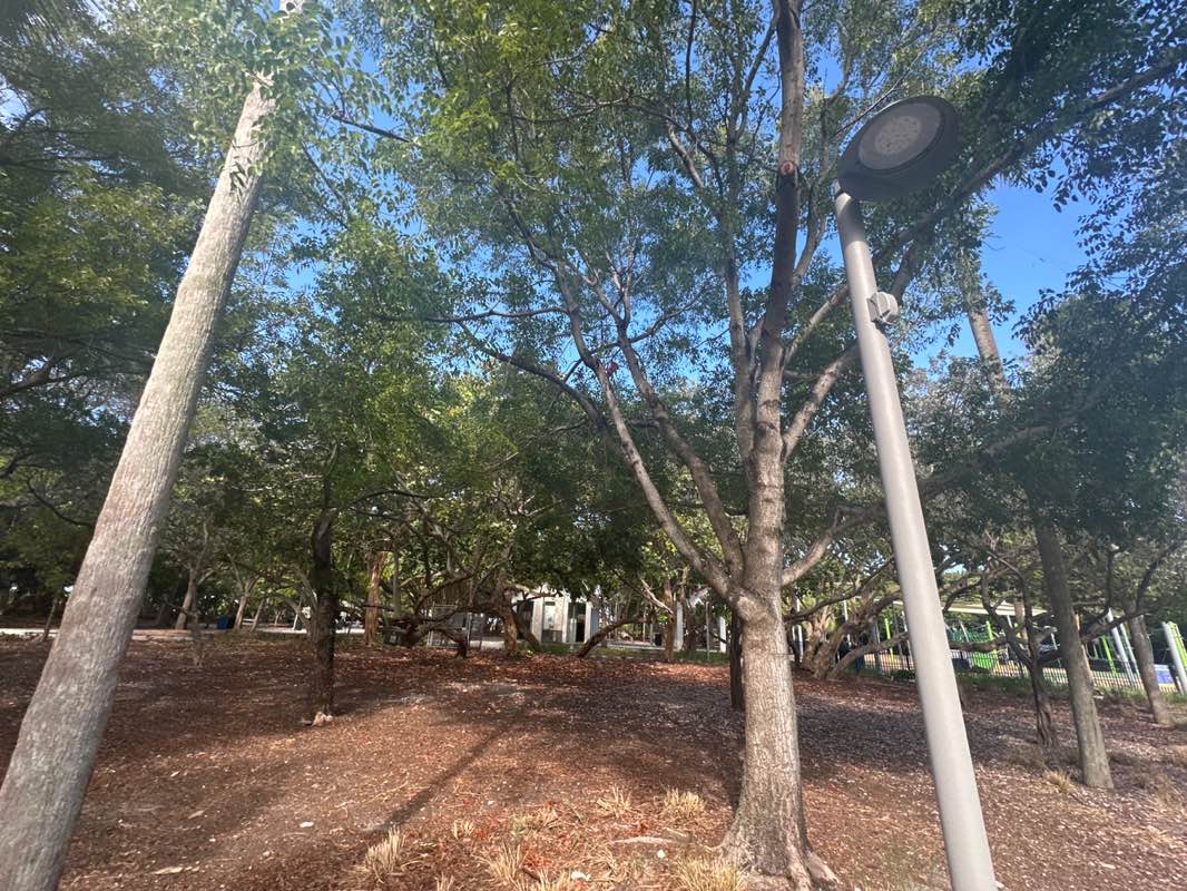 walking near me in North Beach Oceanside Park in autumn