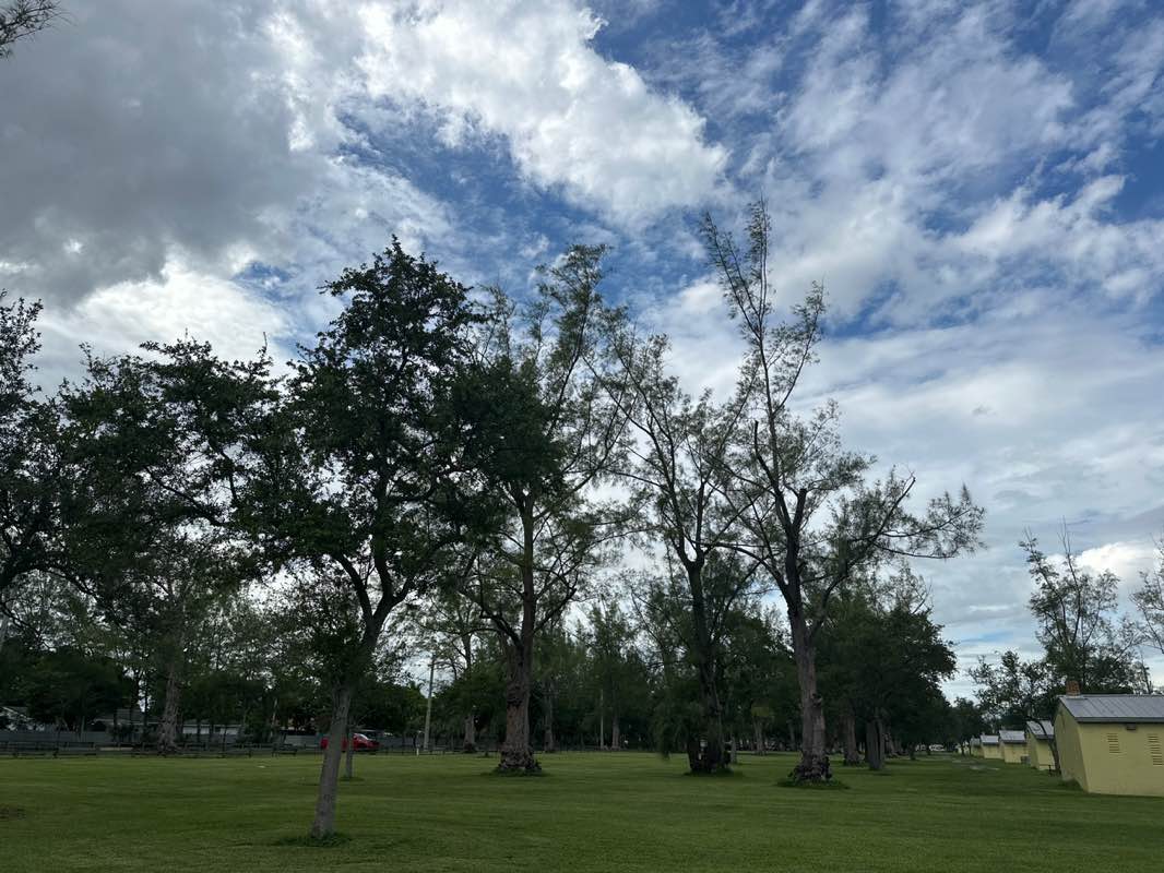 walking near me in Tropical Park in autumn