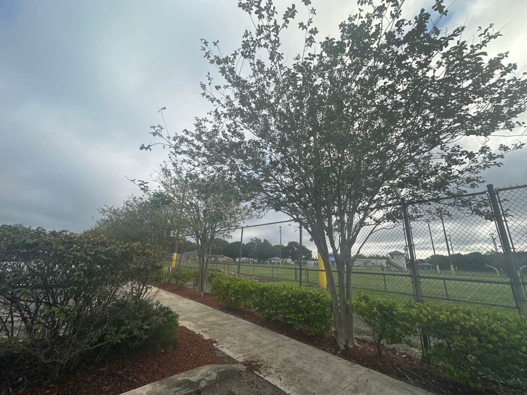 walking near me in Mctyre Park in autumn