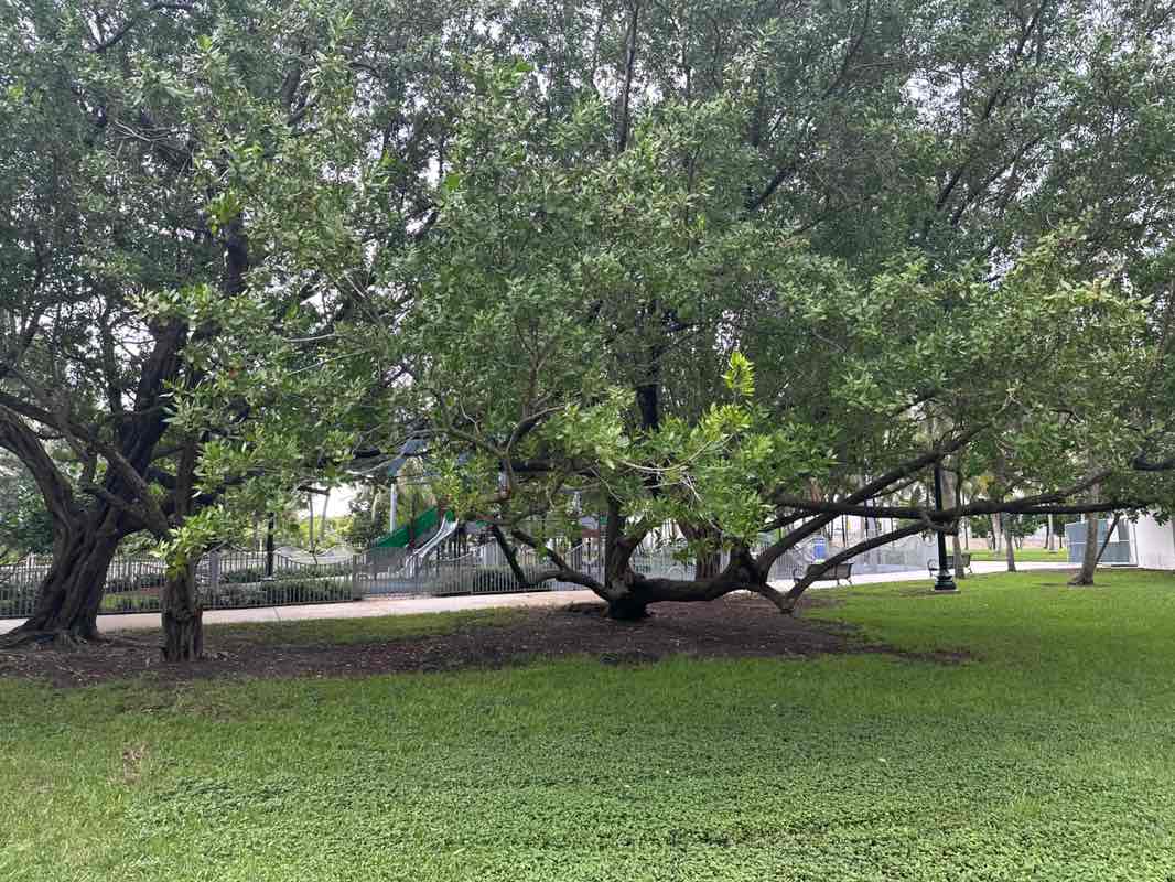walking near me in Marjory Stoneman Douglas Ocean Beach Park in autumn