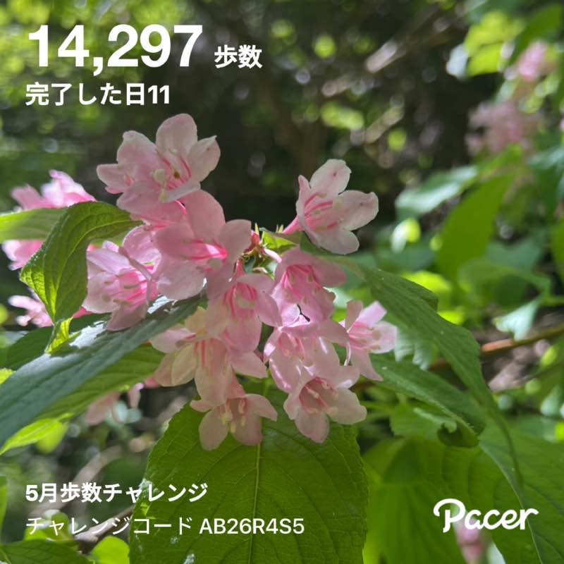 大助 post 1