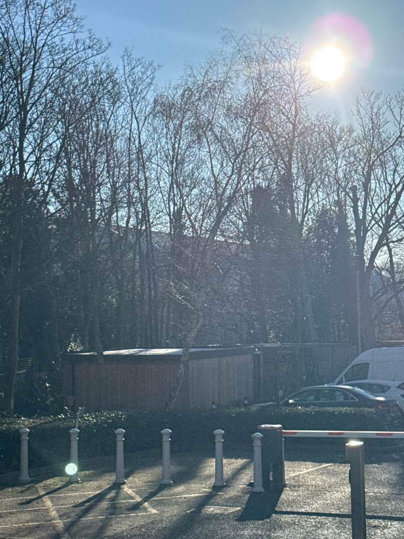 walking near me in Salt Hill Park in winter