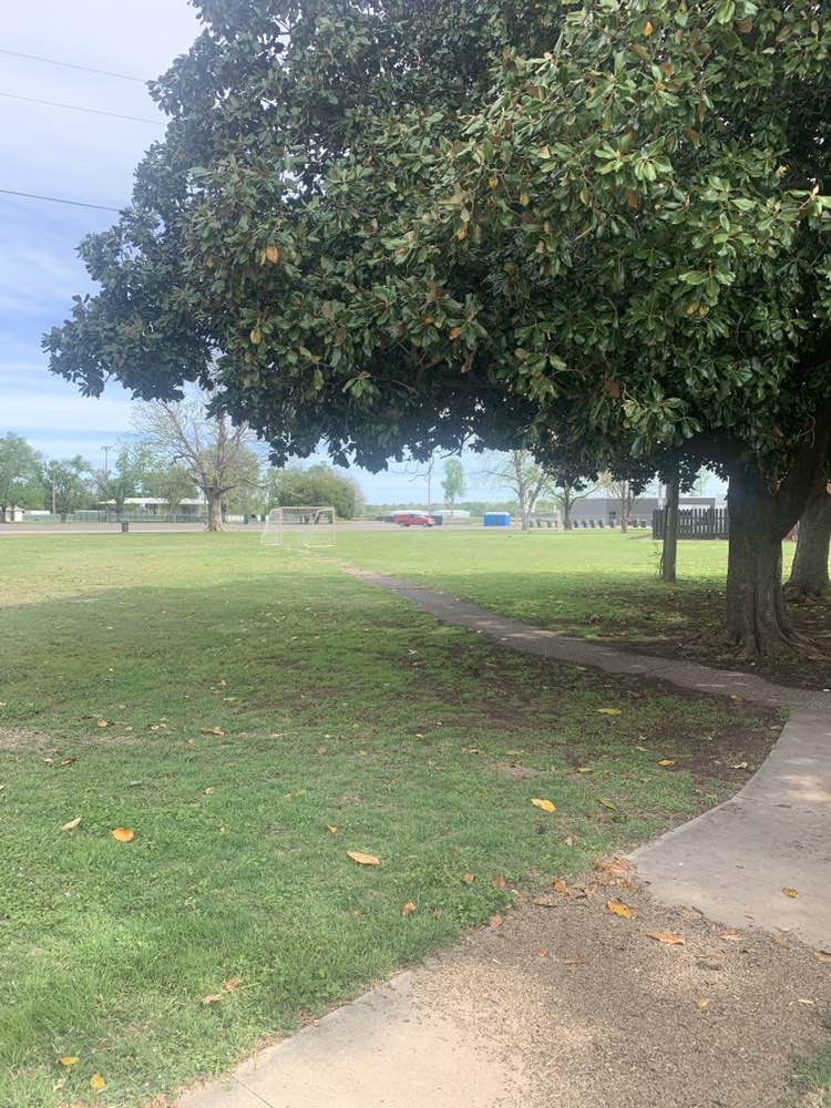 walking near me in Wacker Park in spring