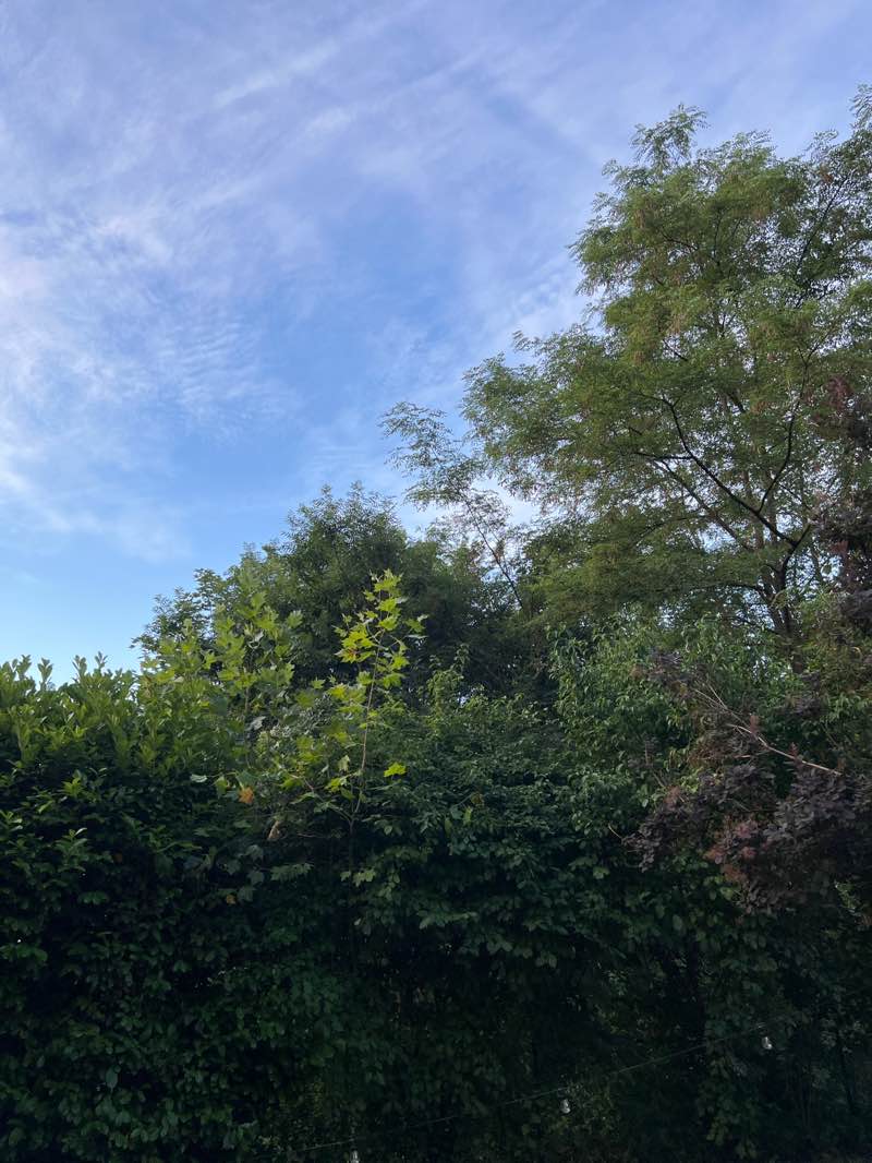 walking near me in Parc Brot in summer