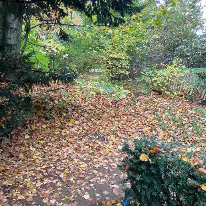 gmb61🦎🐢☘️ post 1