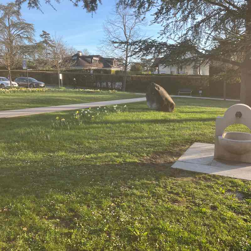 gmb61🦎🐢☘️ post 1