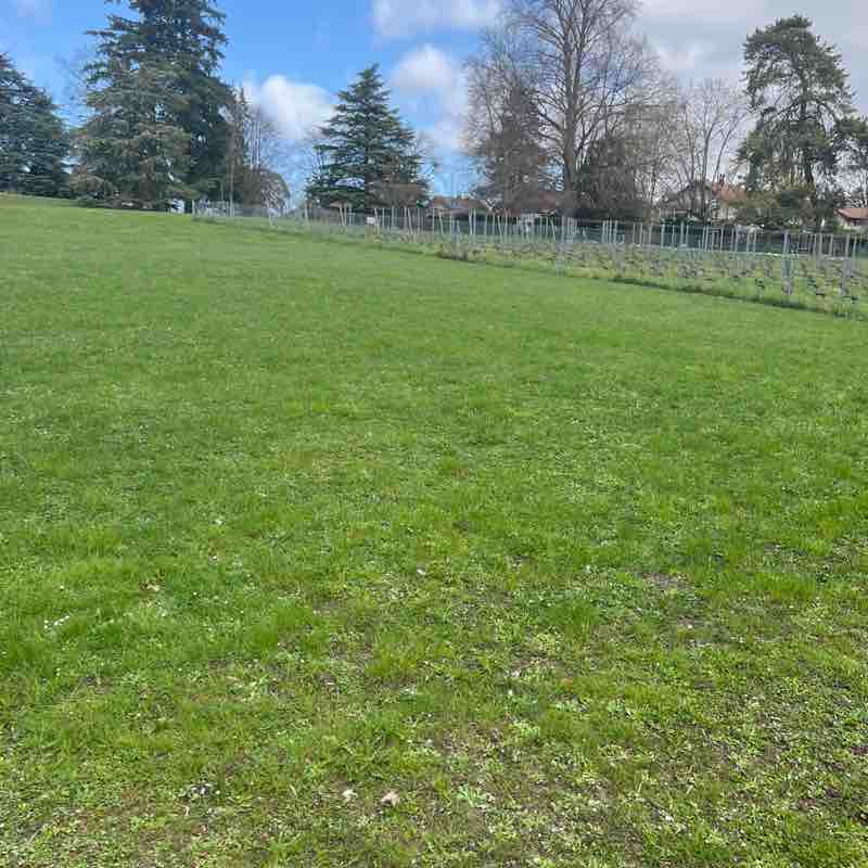 gmb61🦎🐢☘️ post 1