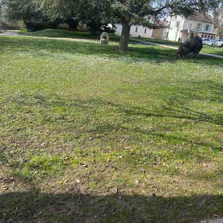 gmb61🦎🐢☘️ post 1