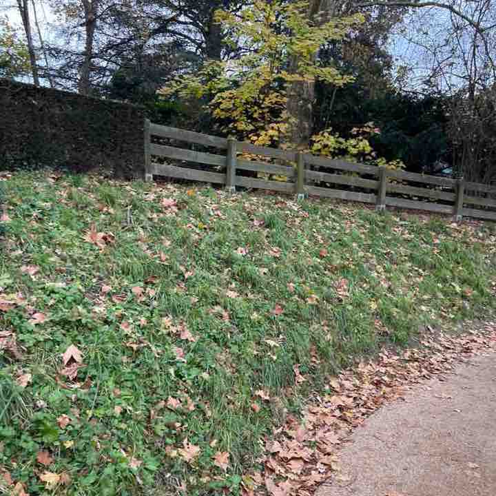 gmb61🦎🐢☘️ post 1