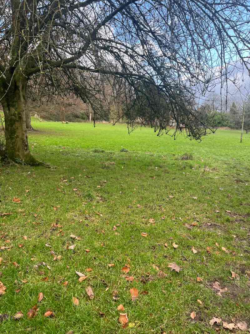 walking near me in Greaves Park in autumn