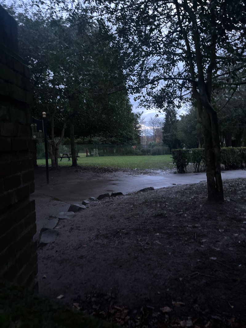 walking near me in McGoldrick Park in winter