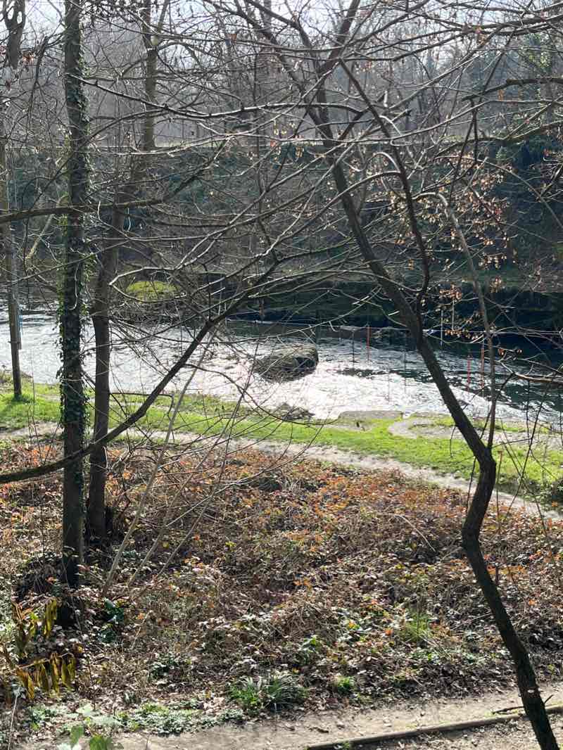 walking near me in Théâtre de Verdure du Ramier in winter