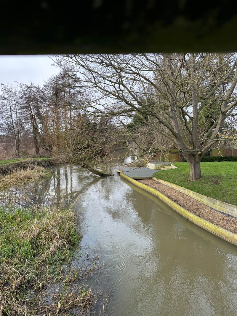 walking near me in The Riddy in winter