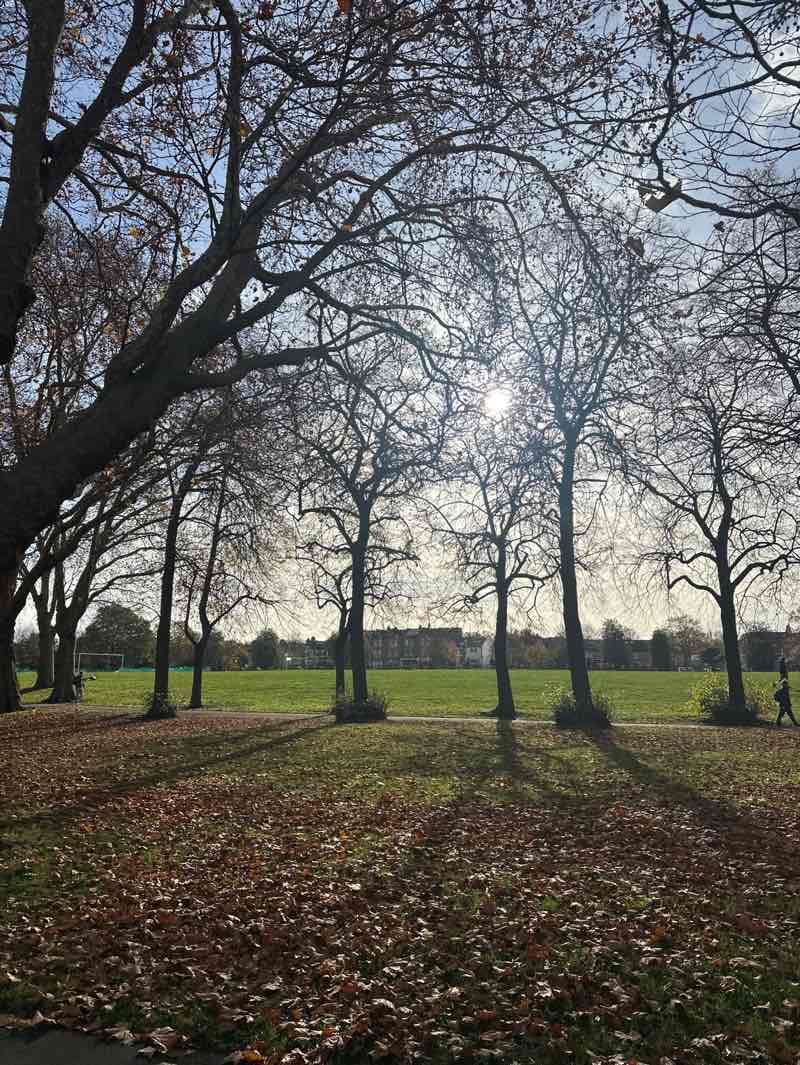 walking near me in Wandsworth Park in autumn