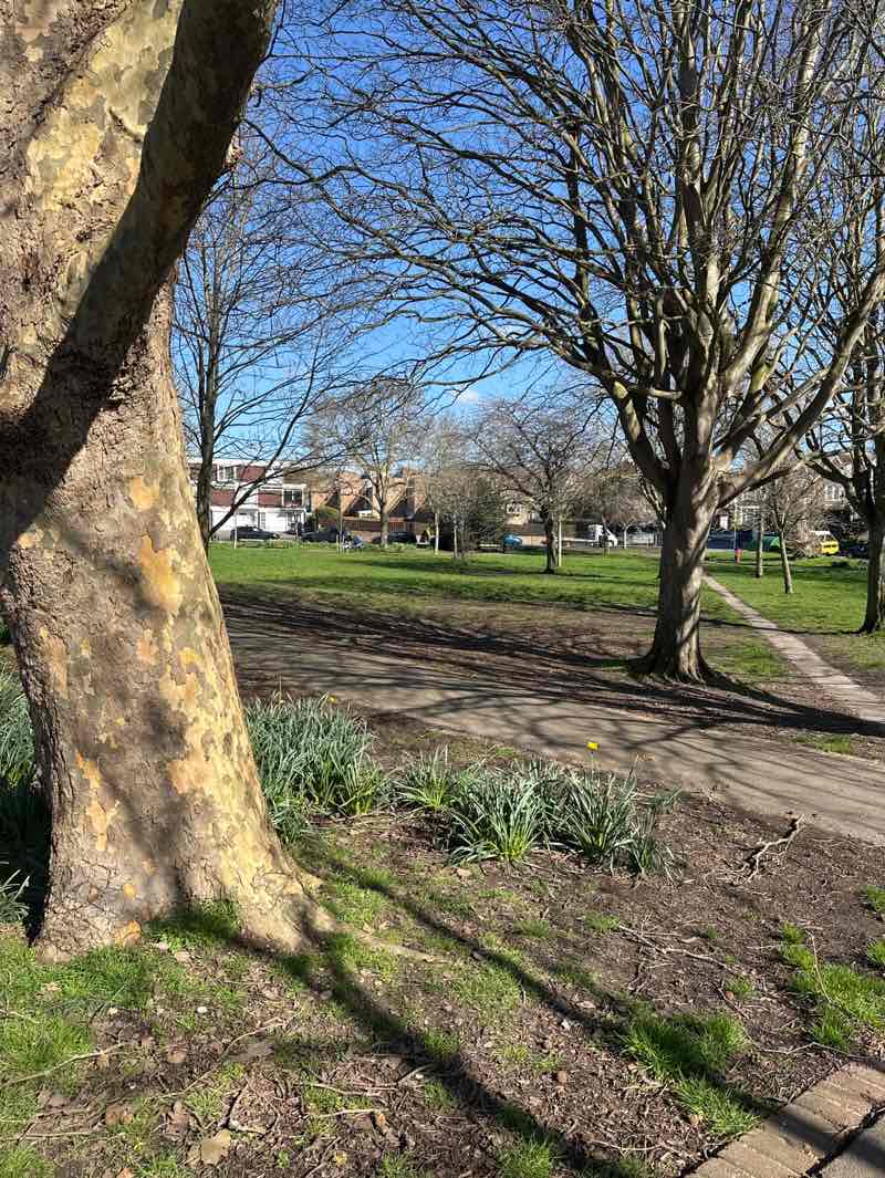 walking near me in Clarendon Gardens in spring