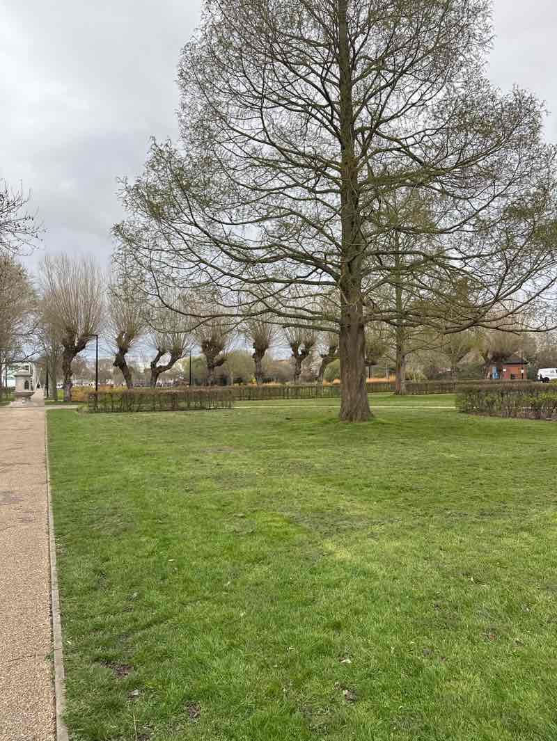 walking near me in Vale Park in spring