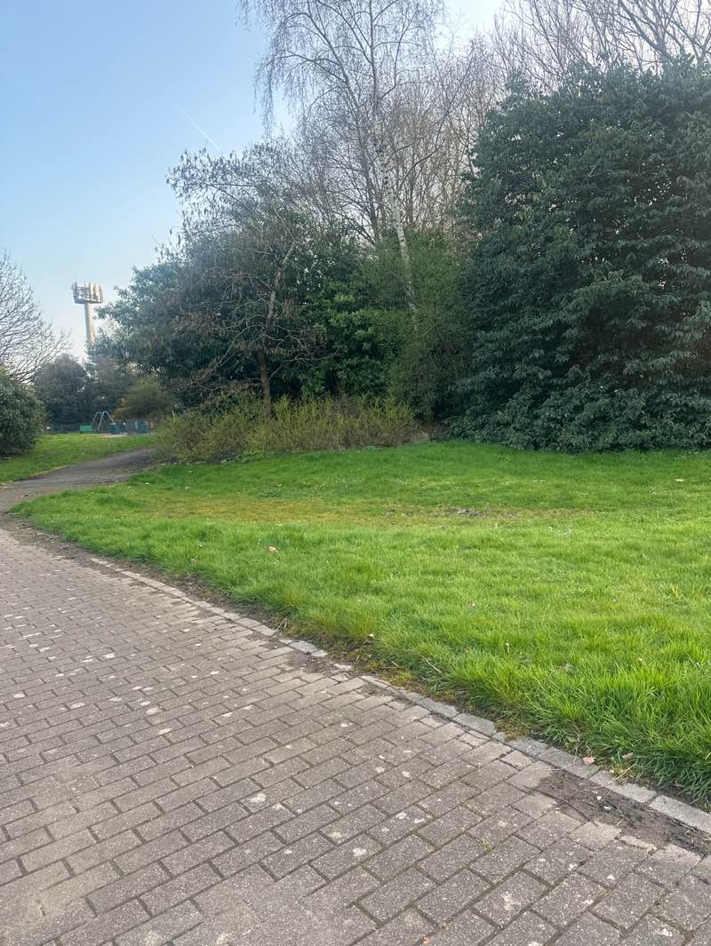 walking near me in Silurian Park in spring